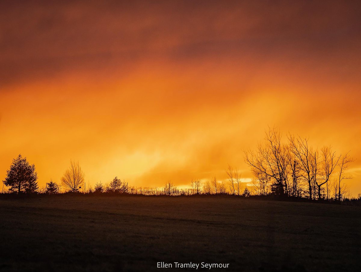 Ellen Tramley Seymour tweet media