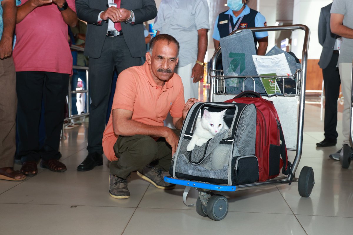 KochiAirport's tweet photo. 'Eva' enjoys stardom as the first pet imported to CIAL!๐พ๐ฑ๐ฌ
Eva, the 1 year old mixed breed cat became the first pet to fly from abroad to CIAL ๐ฌ. She arrived in Air India's Doha - Cochin flight AI 954, this morning. ๐ป๐ธ
#cial #CochinAirport #petimport #PetExport #AirIndia https://t.co/6IU2d6JwI5