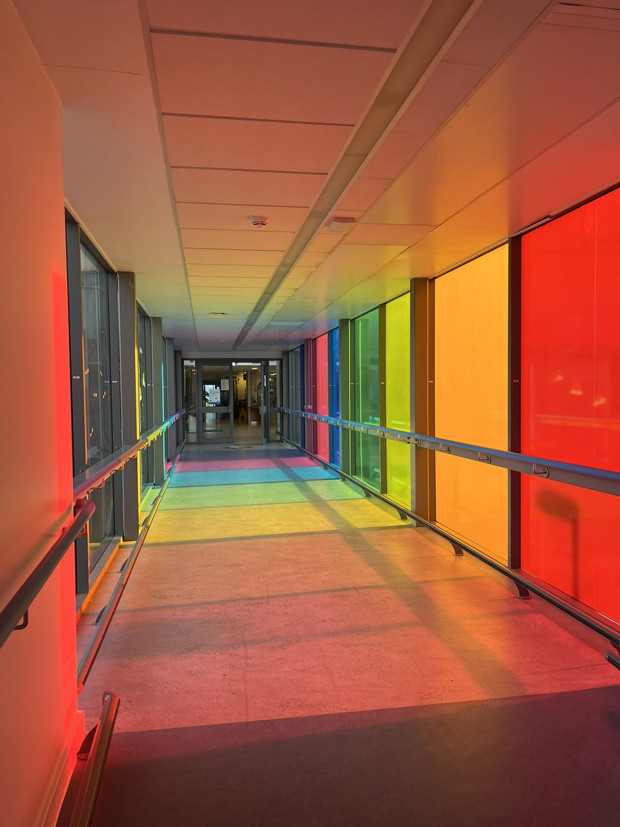 Looking forward to catching up with colleagues in the Trent Cardiac Centre this morning. 
The rainbow corridor entrance looks beautiful with the winter sun on the windows 🌈