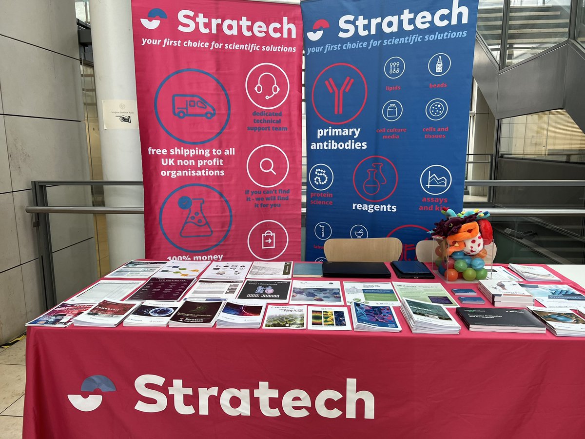 Adam Stratech tweet media