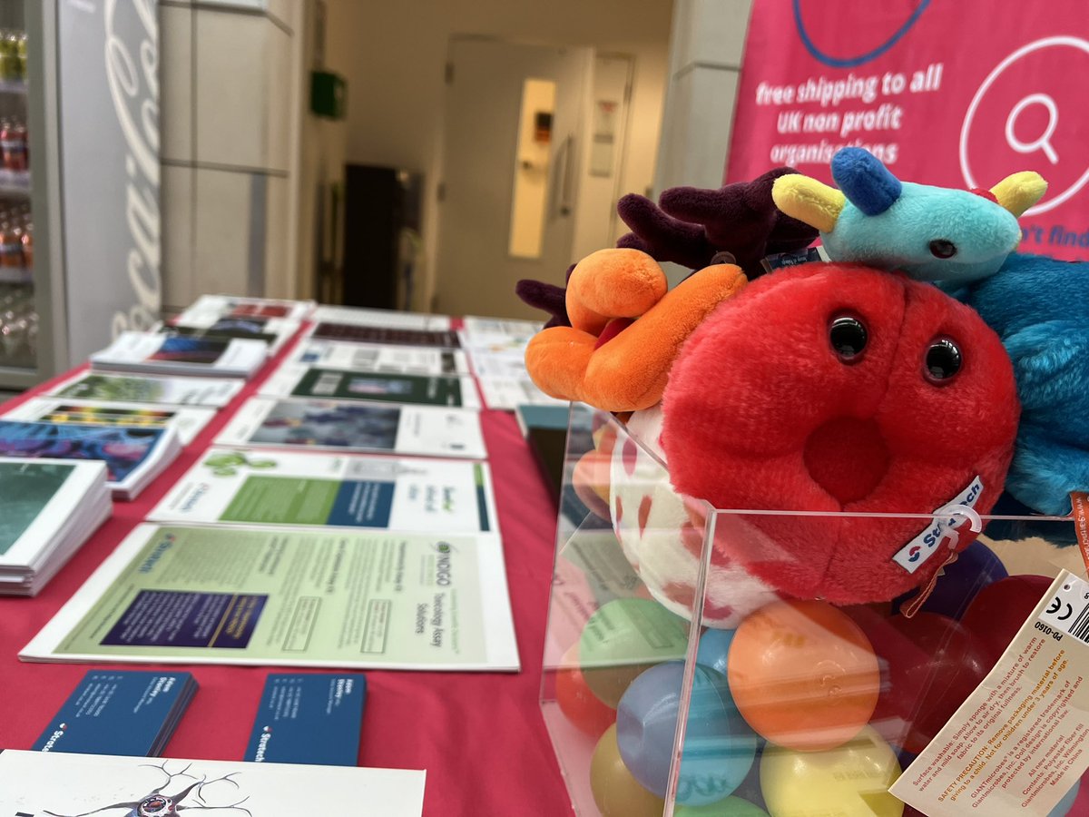 Adam Stratech tweet media