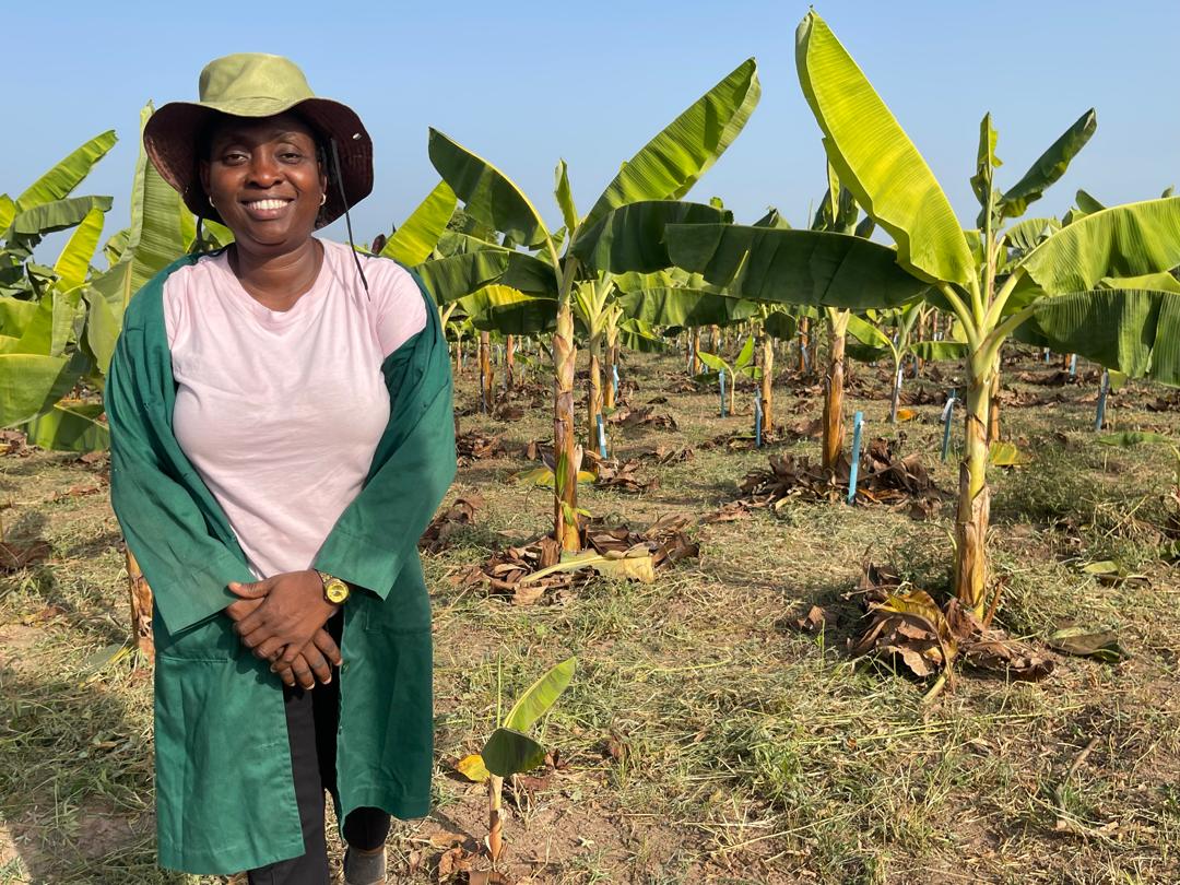 IITA (@iita_cgiar) on Twitter photo In line with IITA's efforts to impact beyond in-class training to utilization and adoption of knowledge gained for the transformation of African agriculture, we are very pleased to share this testimonial from our <a href="/NihortNG/">National Horticultural Research Institute (NIHORT)</a> partners who were recently trained by IITA-<a href="/CGIAR/">CGIAR</a>'s In line with IITA's efforts to impact beyond in-class training to utilization and adoption of knowledge gained for the transformation of African agriculture, we are very pleased to share this testimonial from our <a href="/NihortNG/">National Horticultural Research Institute (NIHORT)</a> partners who were recently trained by IITA-<a href="/CGIAR/">CGIAR</a>'s