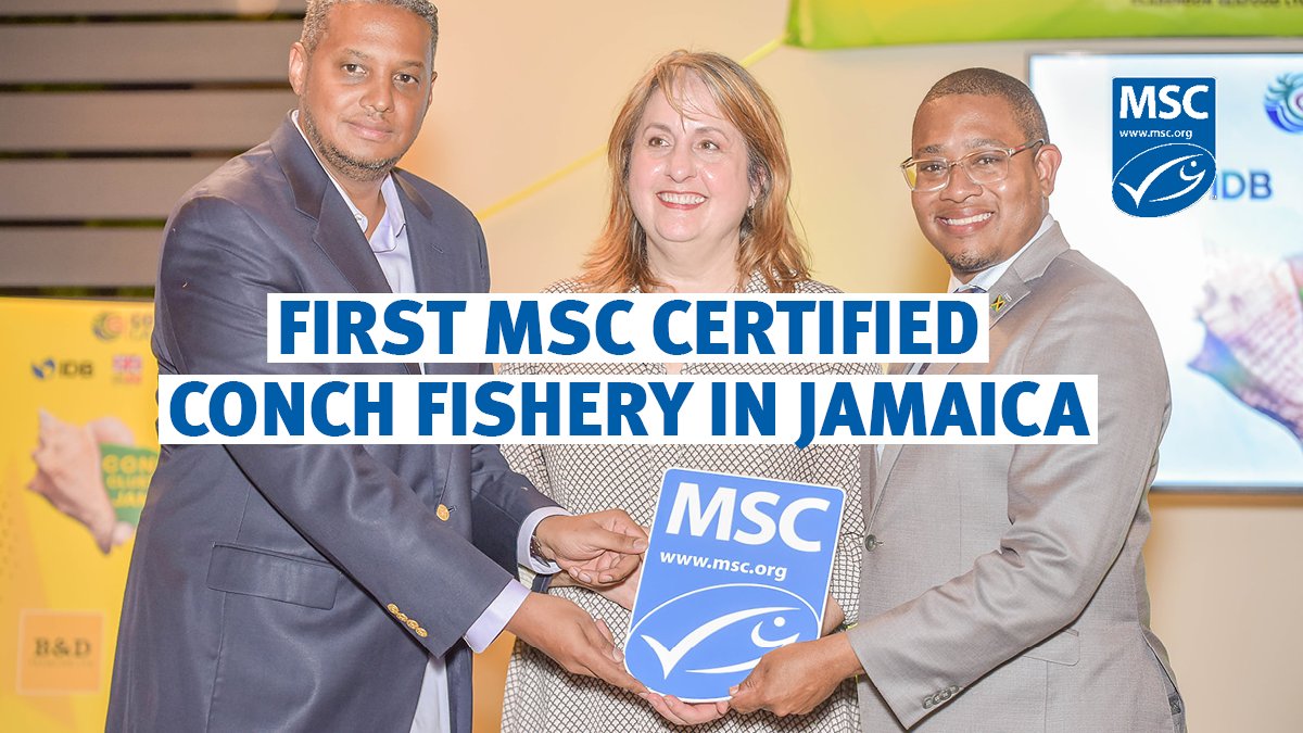 Marine Stewardship Council tweet media