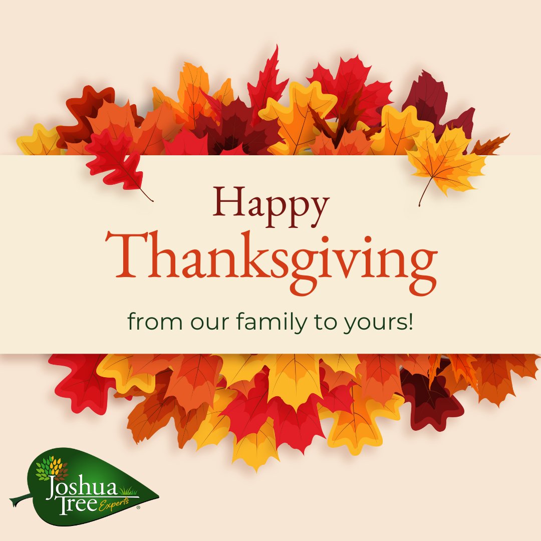 JoshuaTreeUSA's tweet image. Happy Thanksgiving from Joshua Tree Experts! 🍁 This season, we're filled with gratitude for YOU - our loyal clients and partners. 
We wish you and your family a day filled with happiness and full bellies! 🦃🍂

#JoshuaTreeExperts #HappyThanksgiving #ThankfulForYou