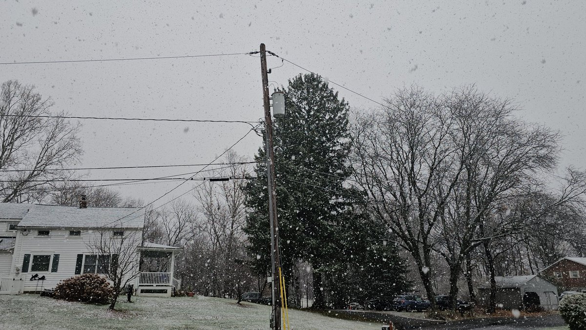 Mighty Muffins tweet media