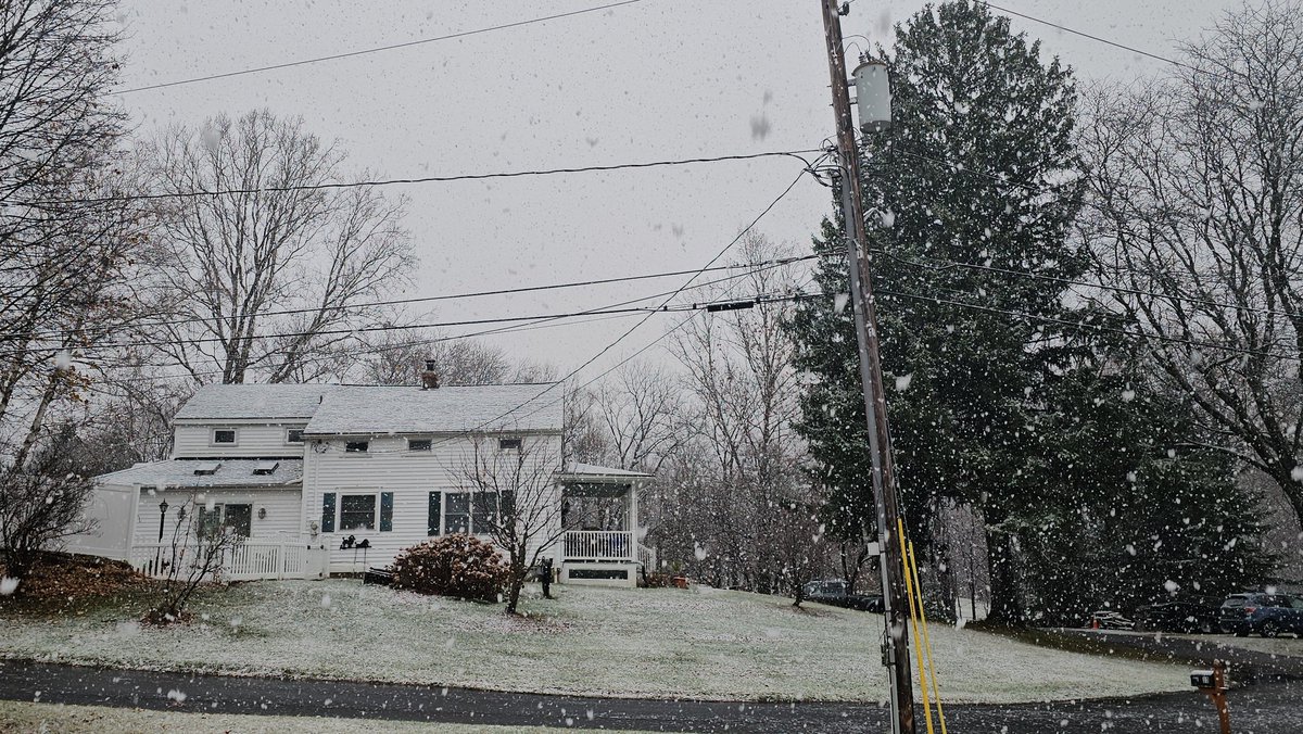 Mighty Muffins tweet media