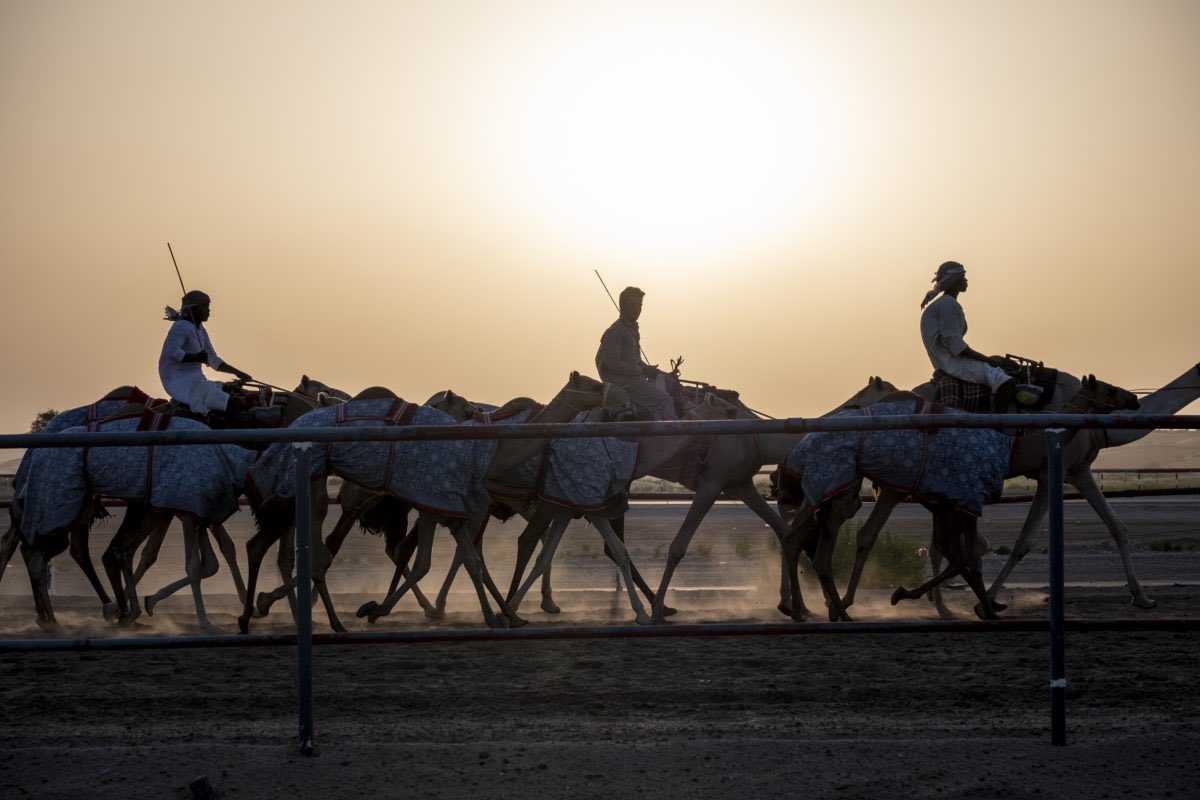 DrPaulChitwood's tweet image. Happy Thanksgiving from your 3,600 @IMB_SBC missionaries and our support staff!

We praise God for His provision through every partnering Southern Baptist church as, together, we proclaim the gospel in  155 nations.