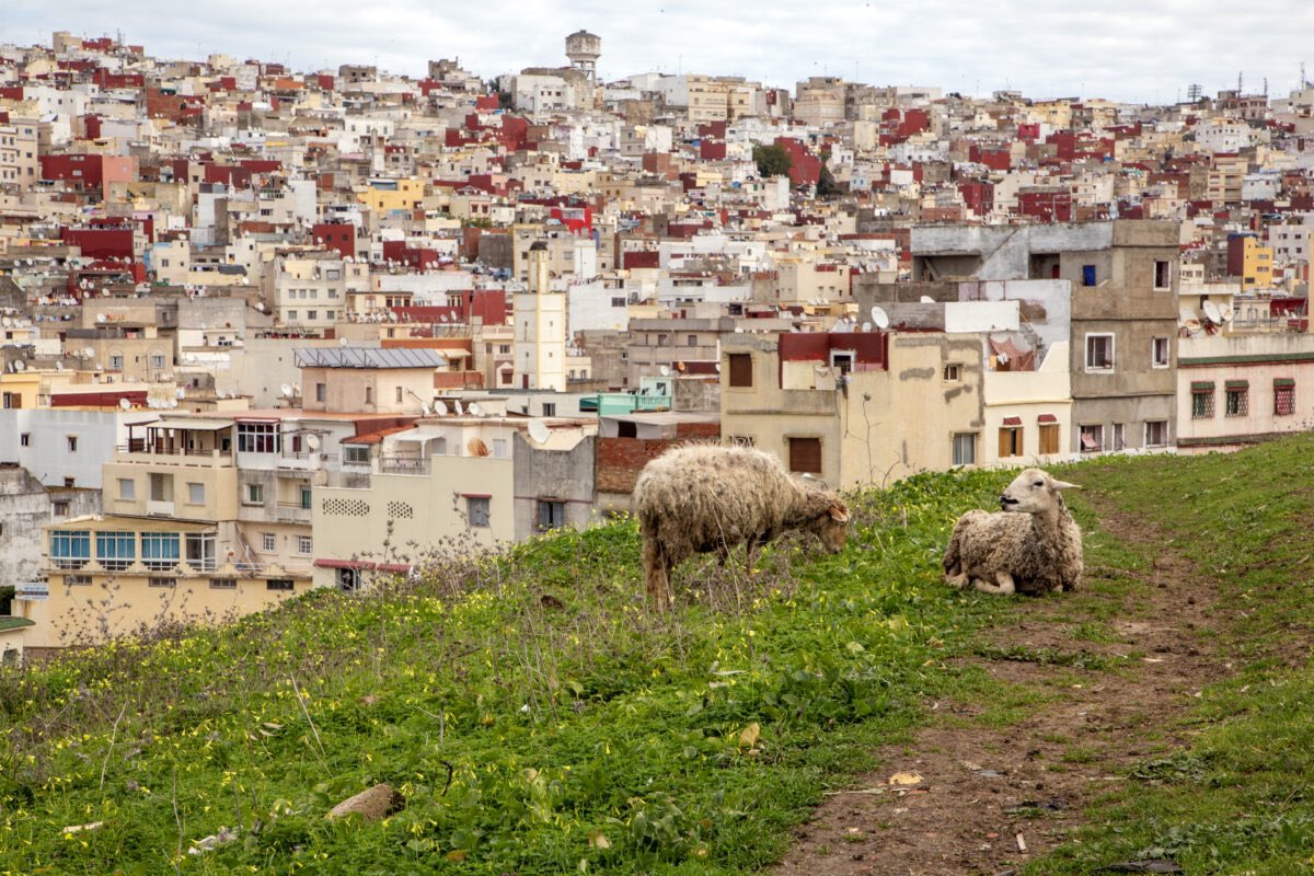 DrPaulChitwood's tweet image. Happy Thanksgiving from your 3,600 @IMB_SBC missionaries and our support staff!

We praise God for His provision through every partnering Southern Baptist church as, together, we proclaim the gospel in  155 nations.