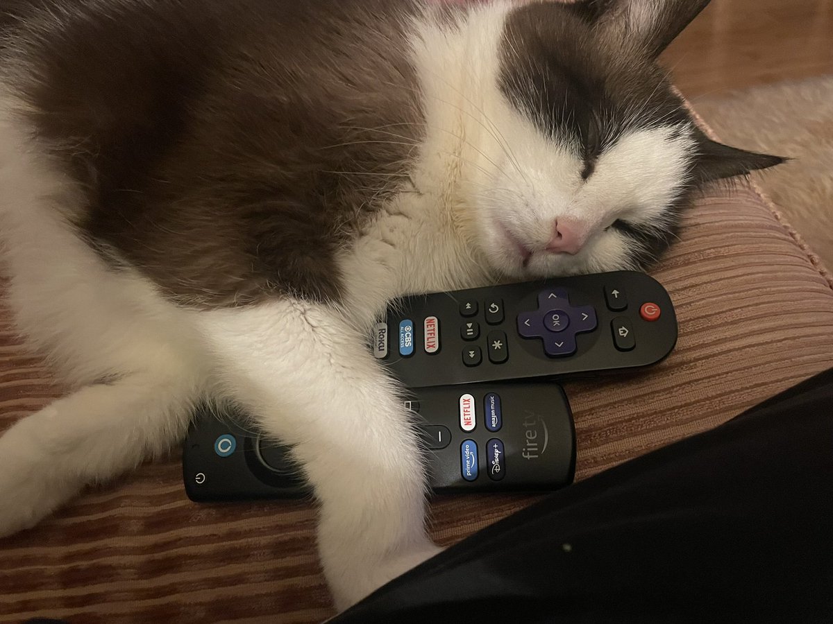 BODYBUZZRECS tweet media