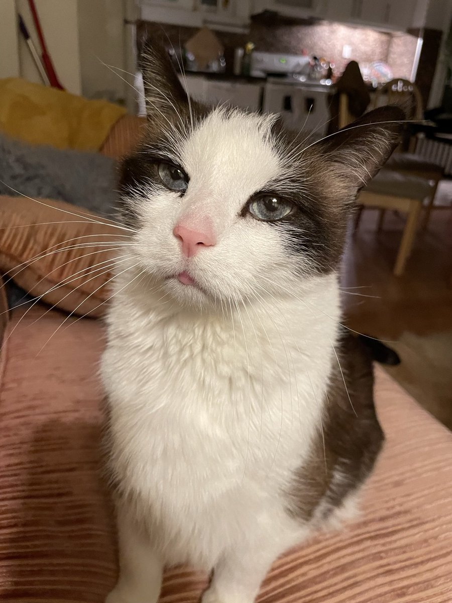 BODYBUZZRECS tweet media