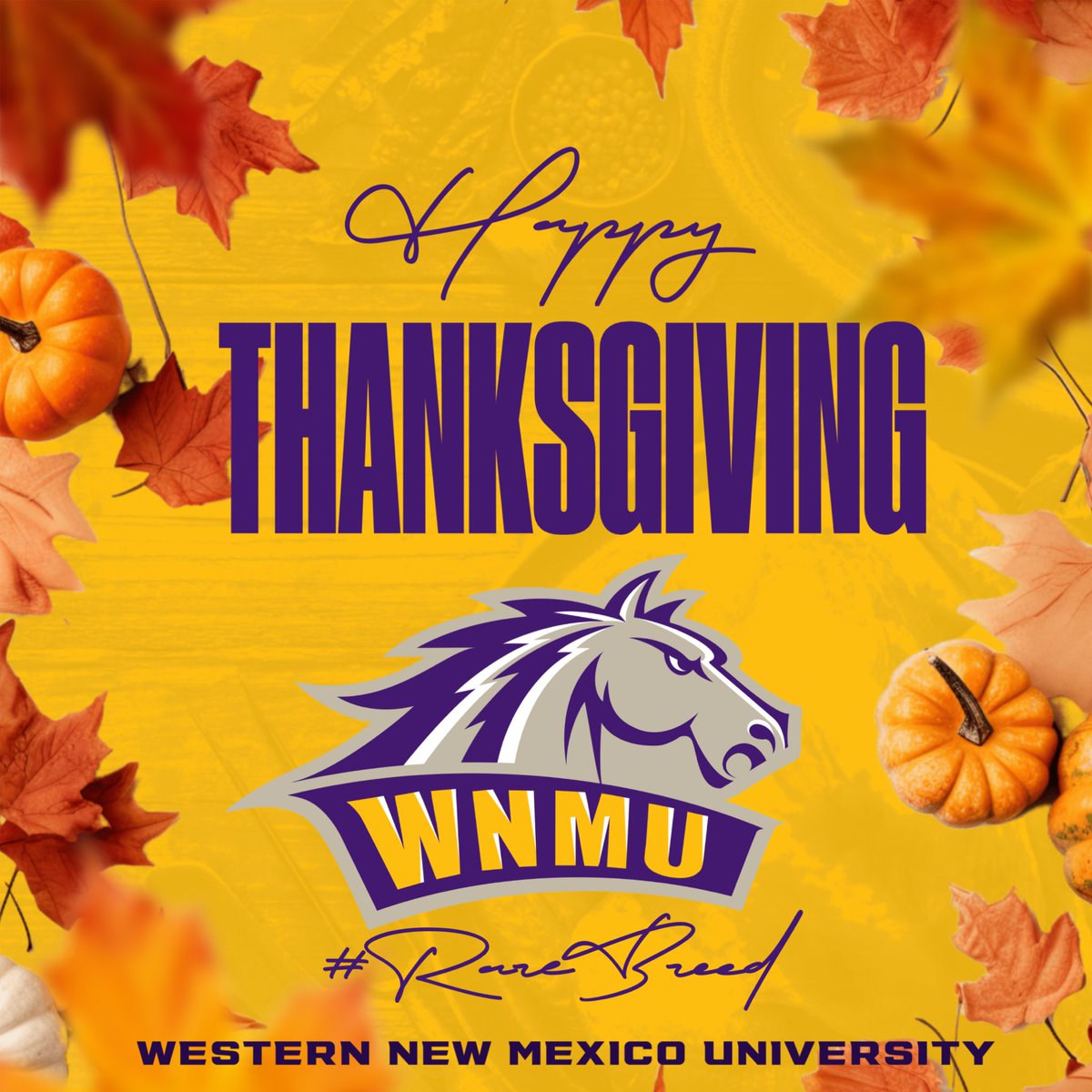 WNMU Mustangs tweet media