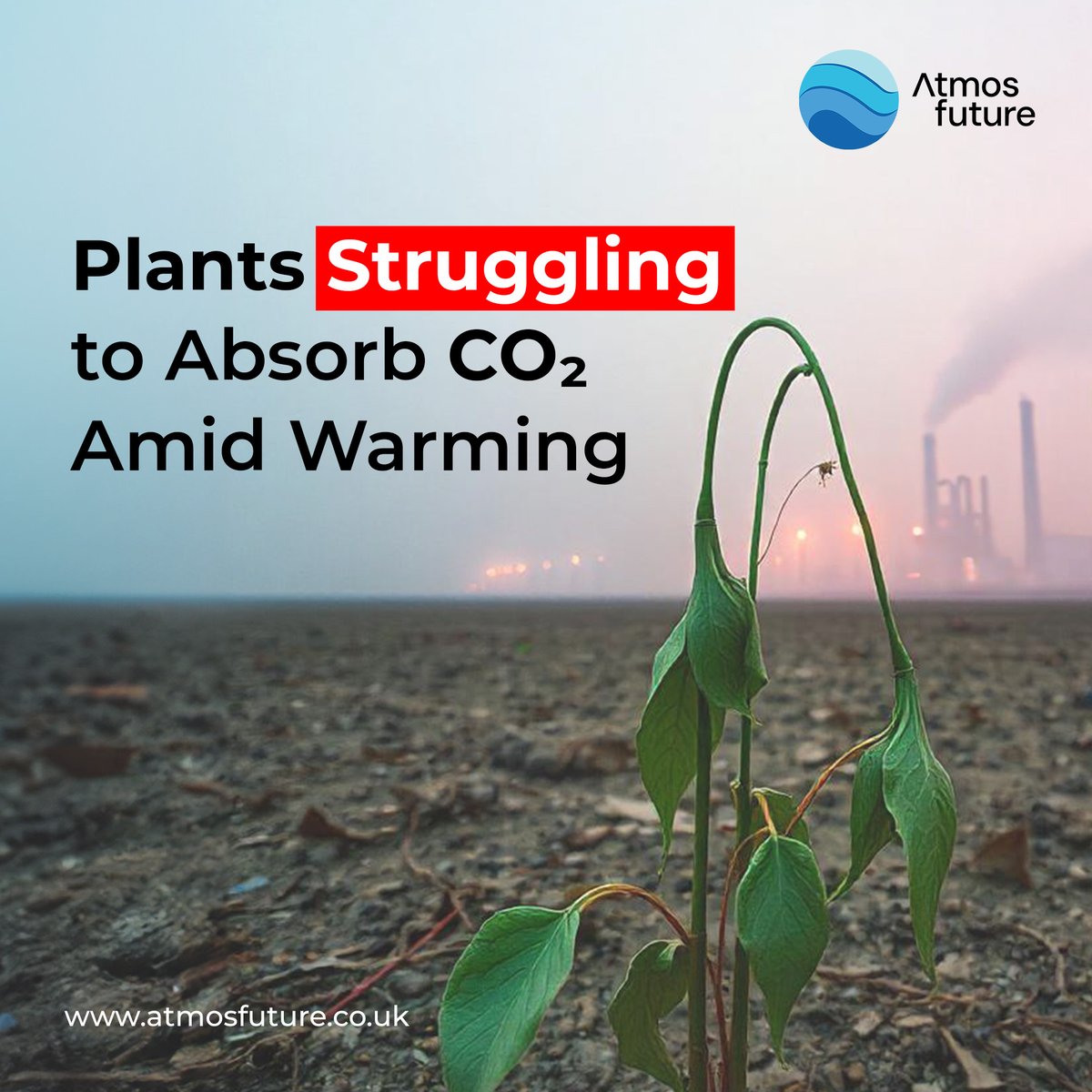 As temperatures rise, plants face a growing challenge in absorbing carbon dioxide, which reduces their crucial role in balancing the atmosphere. This puts strain on nature’s own CO₂ filtration system. 

Read the below article to know more.

newscientist.com/article/238695…