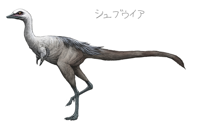 川崎悟司 on X: 