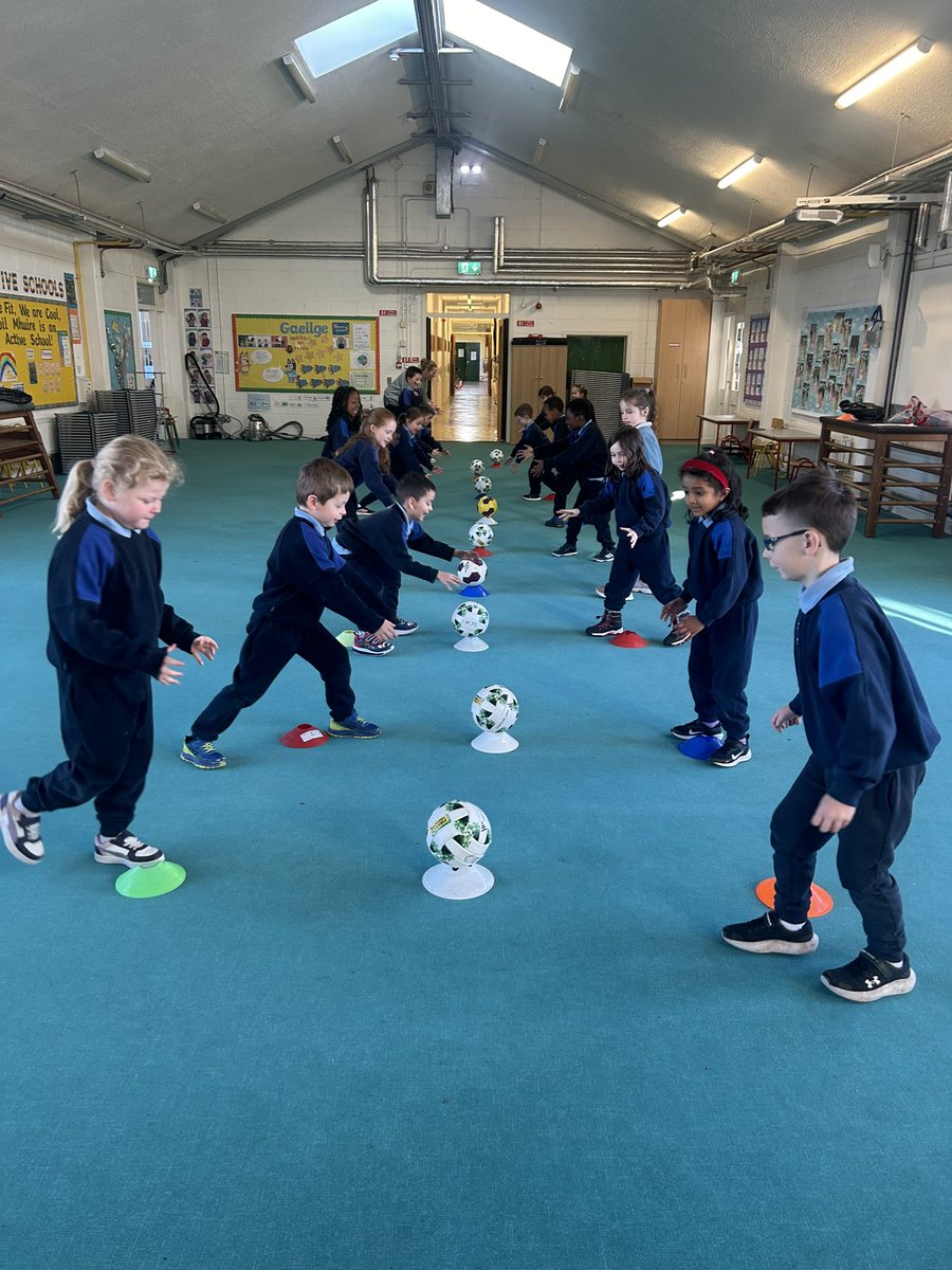 Aoife Hardiman tweet media