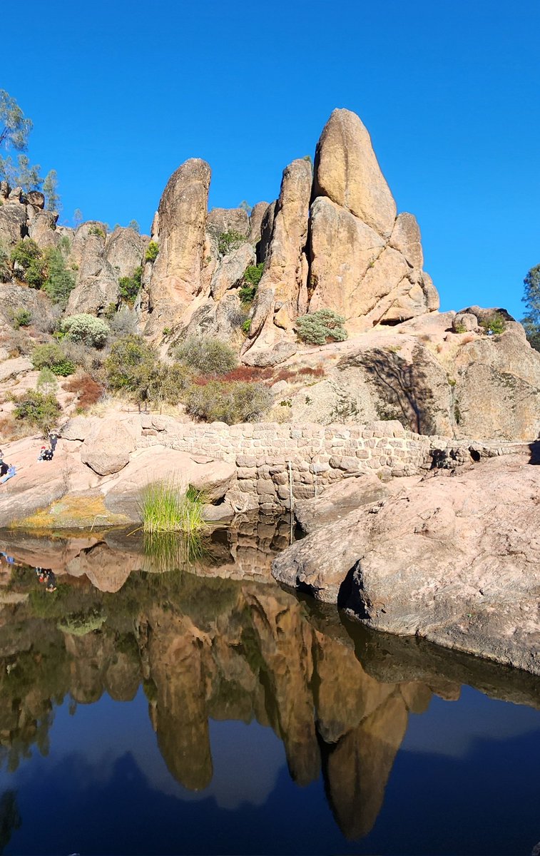 Imran Maskatia tweet media