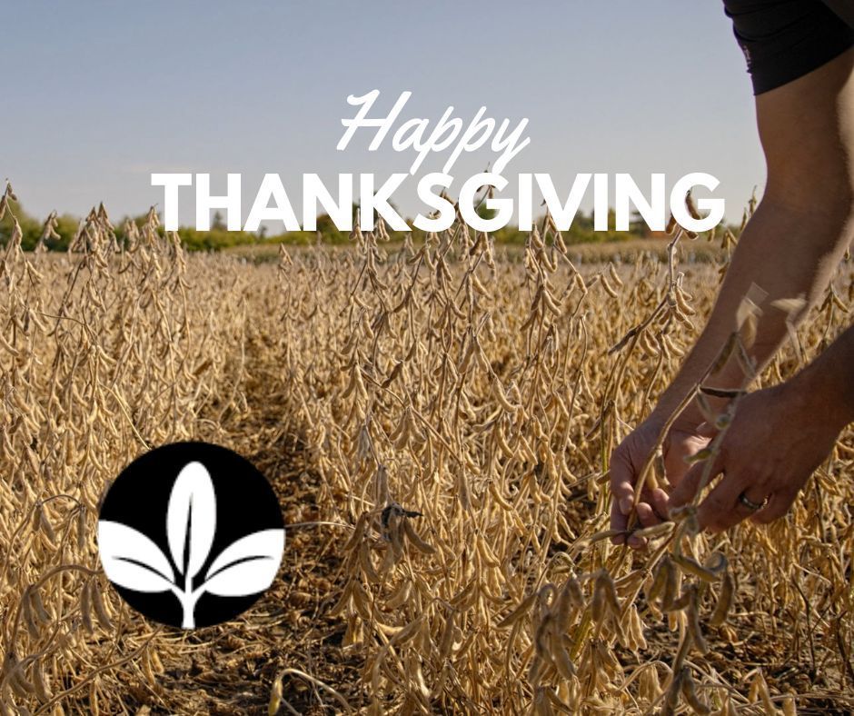 Legacy Seeds tweet media