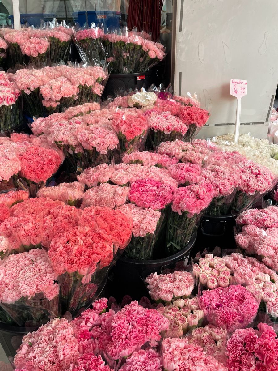 Pink flowers