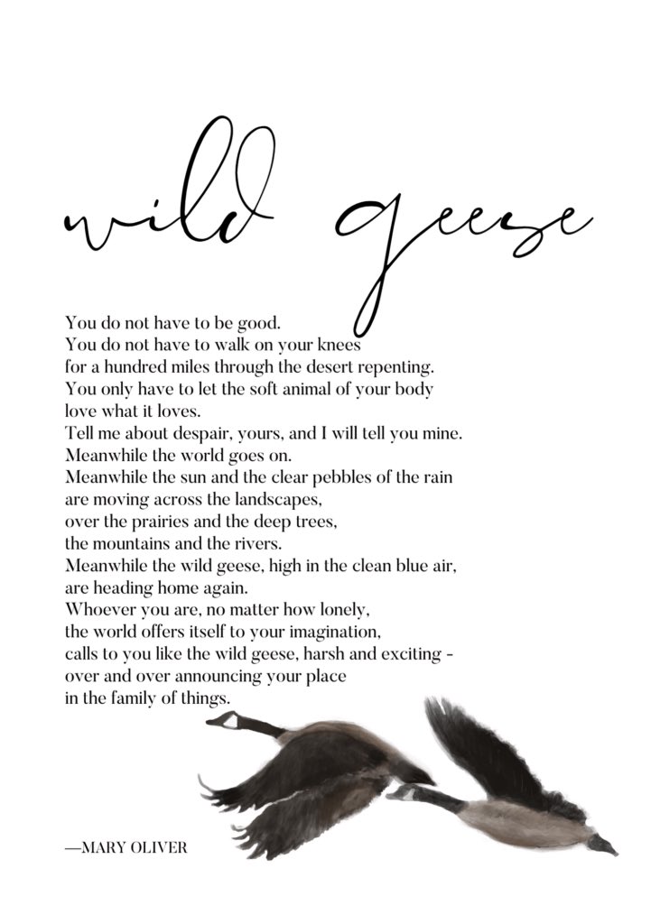 ebwiz42's tweet photo. i know you feel it in your bones. the instinct. the calling, harsh and exciting. whoever you are, no matter how lonely, let the air surge beneath your wings and carry the soft animal of your body away, toward your place in the family of things https://t.co/9e464fKvsy
