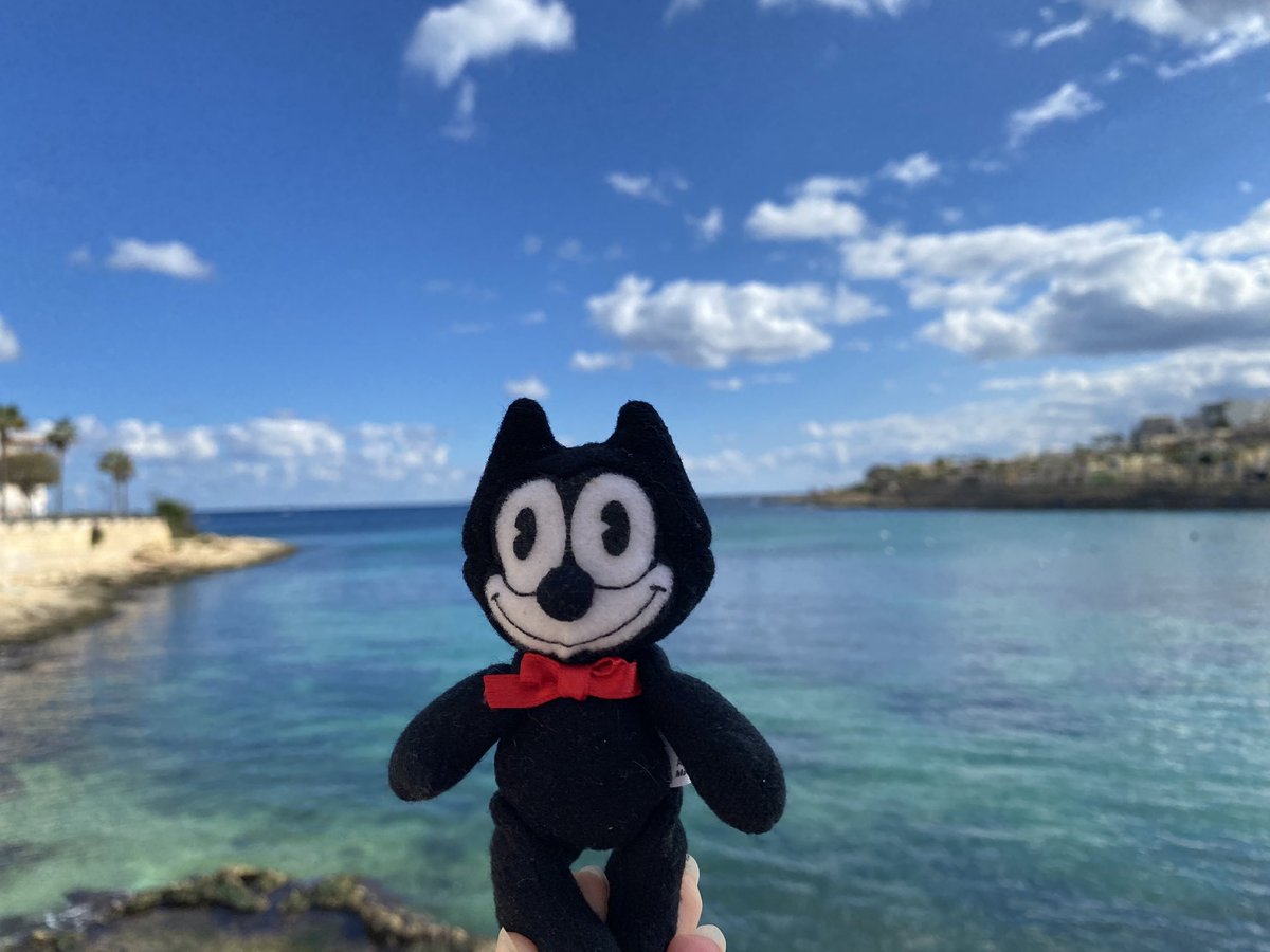 BigTurtler's tweet photo. Letzens war ich mit unseren neusten Mitbewohnern am Meer und ich habe euch noch gar nicht die Selfies gezeigt:

Es präsentieren sich: Rudi, Felix und Fips - so sagten sie seien ihre Namen. https://t.co/yVQPcsDOQy