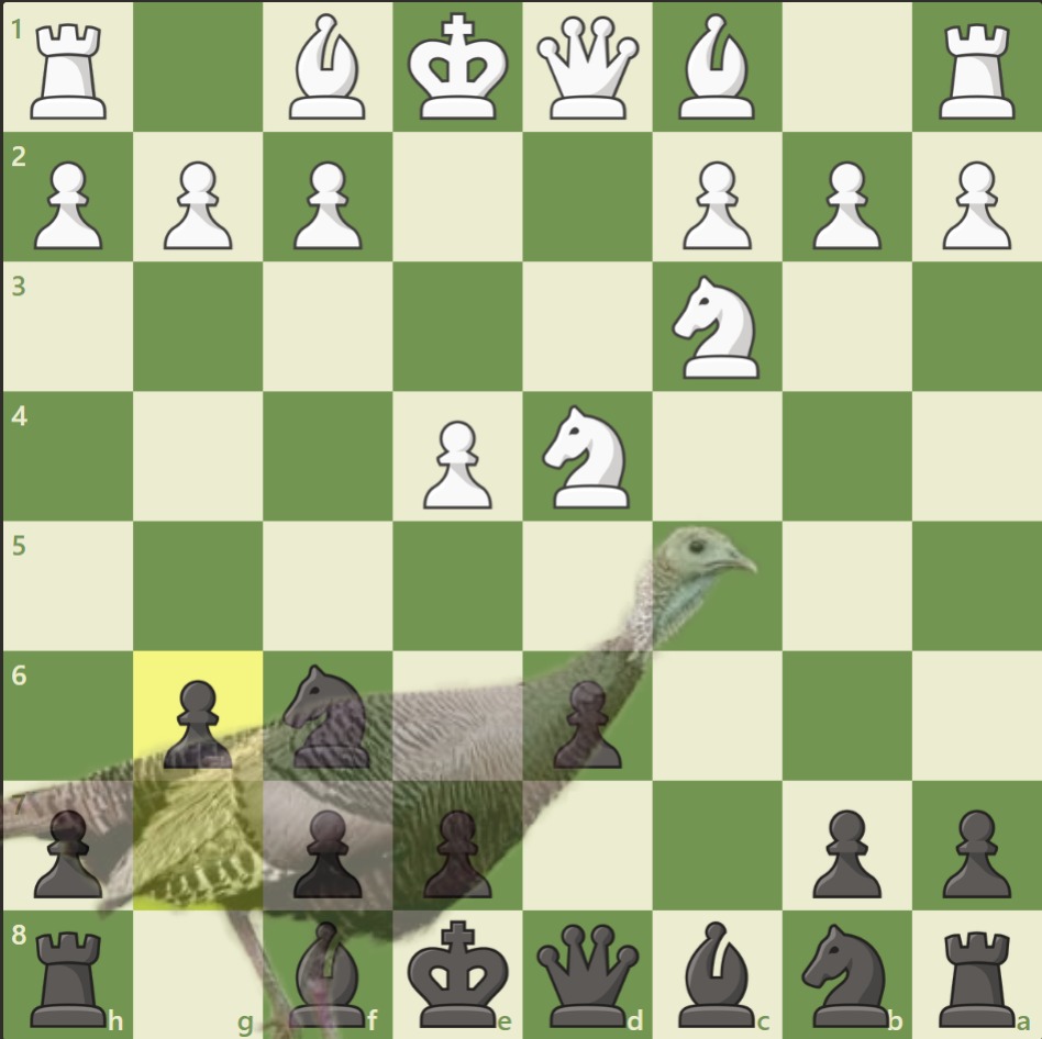 why do we call it the dragon when the turkey fits so well?