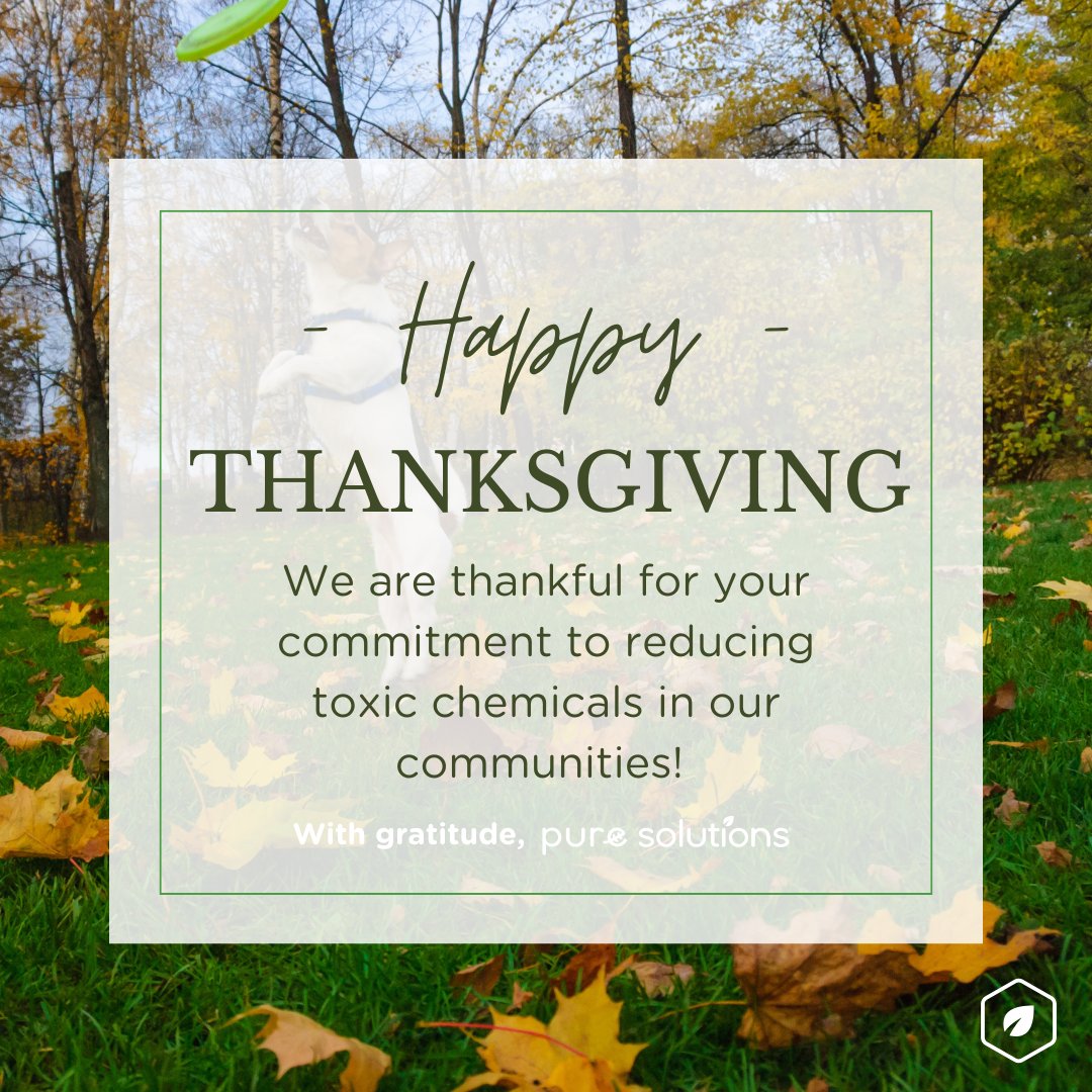 PureNewEngland's tweet photo. Fromm our family to yours, Happy Thanksgiving! 🦃 We're so grateful for your dedication to creating healthier communities free from toxic lawn chemicals. Wishing you a happy and safe day! #HappyThanksgiving #SaferCommunities https://t.co/2V9xXp4fJC