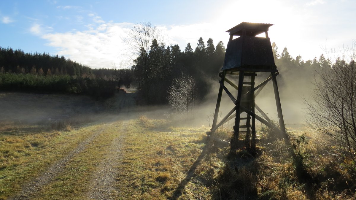 This morning, a pocket of mist in a hollow at 230m  beside an observation tower &amp; a newly-dug Turtle Dove drinking pool, frozen over. The iconic bird is at risk of extinction &amp; is getting help here - especially important that they get water in their mating season.