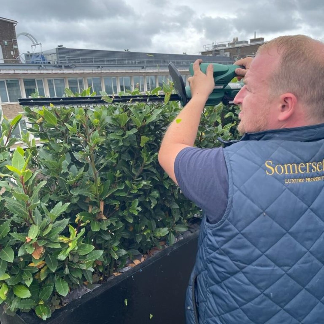 Somerset Estates tweet media