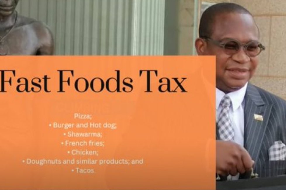 Fadzayi Mahere🇿🇼 tweet media