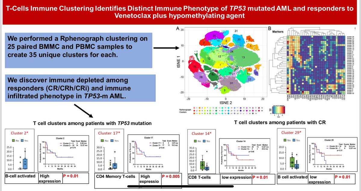 TalhaBadarMD's tweet image. 🚨 Very excited to share my # IIT just prior to #ASH24 👉🏾 T-cell immune cluster analysis using CyTOF identifies unique subgroups... sciencedirect.com/science/articl…

We found 2 unique immune clusters 👇🏽 among ND AML pts treated with VEN+HMA

1) immune depleted among responders

2) immune…