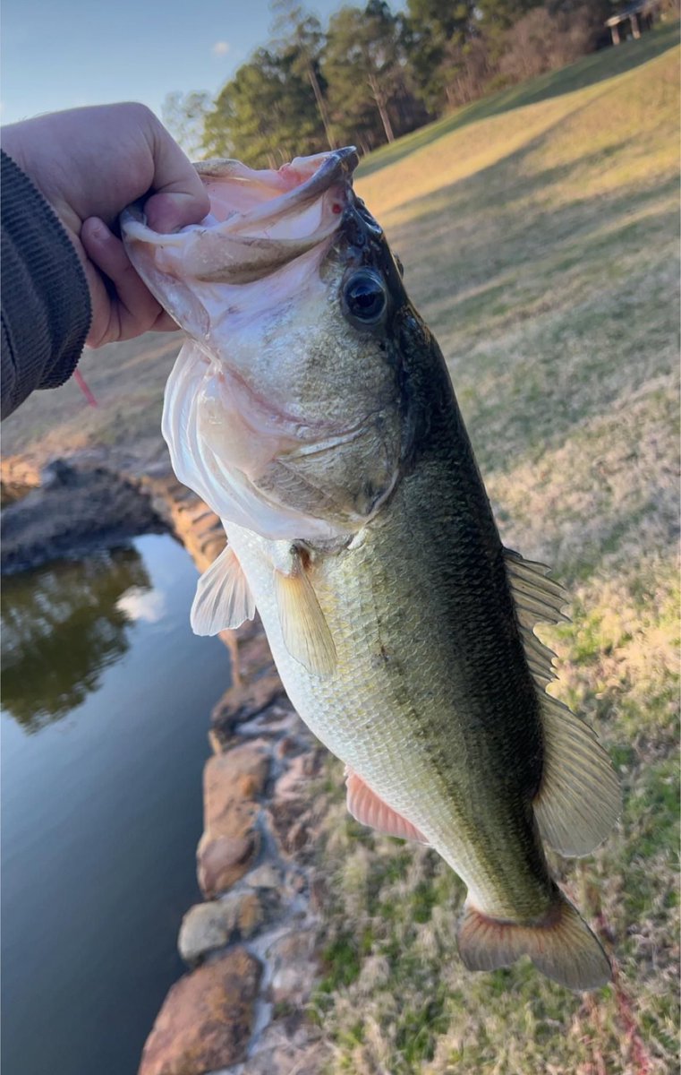 Just reeling in some good vibes 🎣 #FishingLife