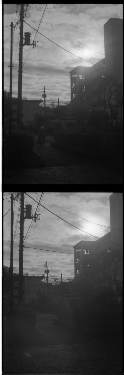 hide_c_life's tweet photo. ツァイスとライツの撮り比べ。
左 or 下 #Carlzeiss #Tessar5cmF3_5
右 or 上 #Leiz #Elmar50mmF3_5
#Leica #M5 #Seagull400 https://t.co/lkfQ1ywIEs