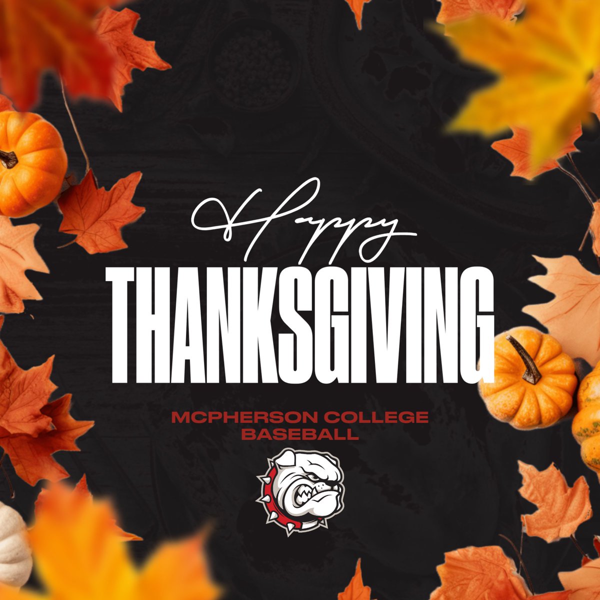 Happy Thanksgiving 🦃

#SkoDogs #EnjoyTheReel