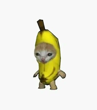 Vard_1111's tweet photo. BCAT TO FLIP SHITTY, oops i meant MINI with HASTE

$BCAT billionz

billionz will banana

watch this mfers

dont fuck with the yellow cat.

the future is yellow https://t.co/TtgzbMfxS1