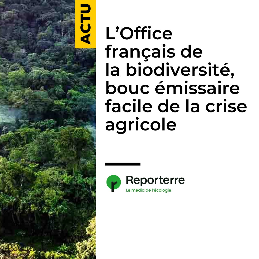 #CriseAgricole : la direction de l’Office français de la biodiversité (l’OFB) estime qu’un agriculteur français risque d’être contrôlé une fois tous les 130 ans. Pourtant, l’#OFB est désignée coupable de la crise agricole. Un article de <a href="/Reporterre/">Reporterre 🌍 | Le média de l'écologie</a> : reporterre.net/L-Office-franc…