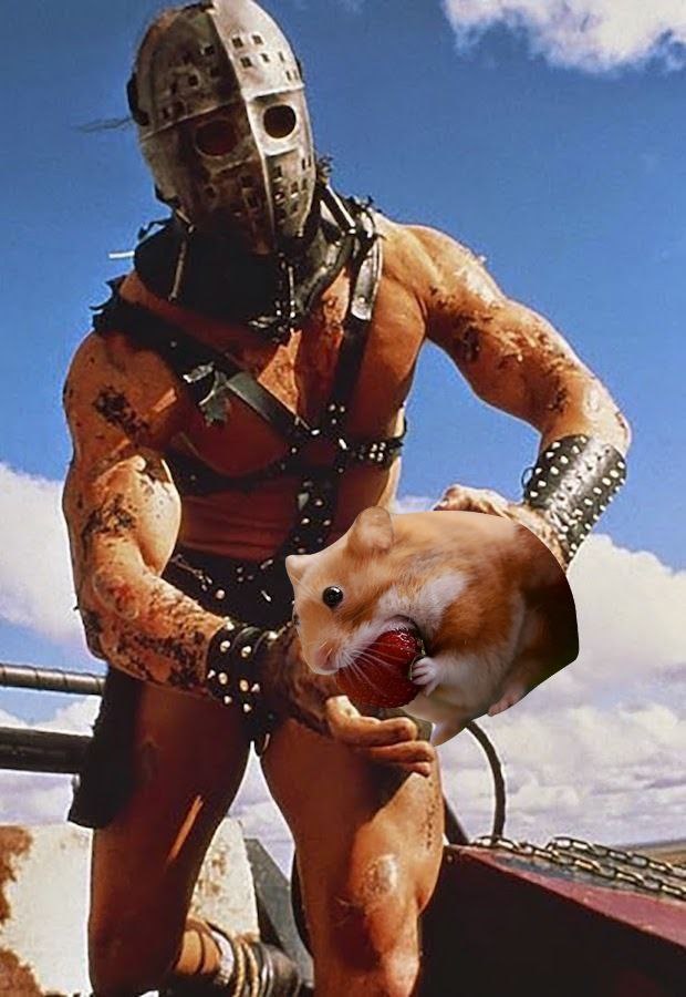 The Moon Rider tweet media