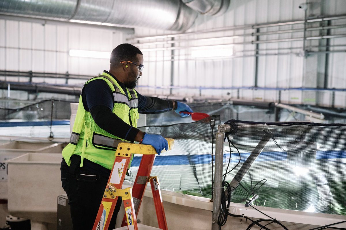 Atlantic Sapphire tweet media