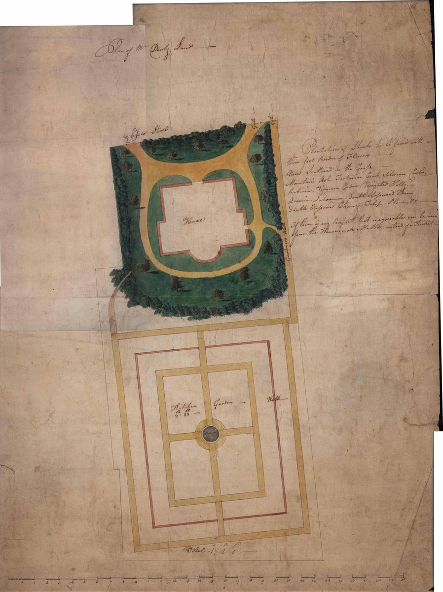 Jenifer White MBE tweet media