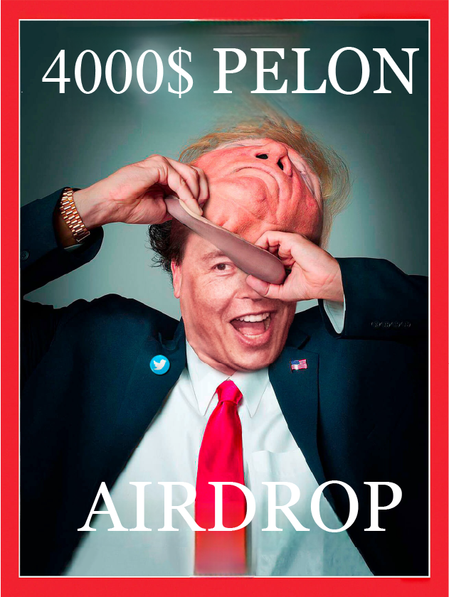 pelonpumpfun's tweet photo. @elonmusk Pelon, a stepchild of Elon Musk, is also getting started with Black Friday https://t.co/T85m3kFRWt