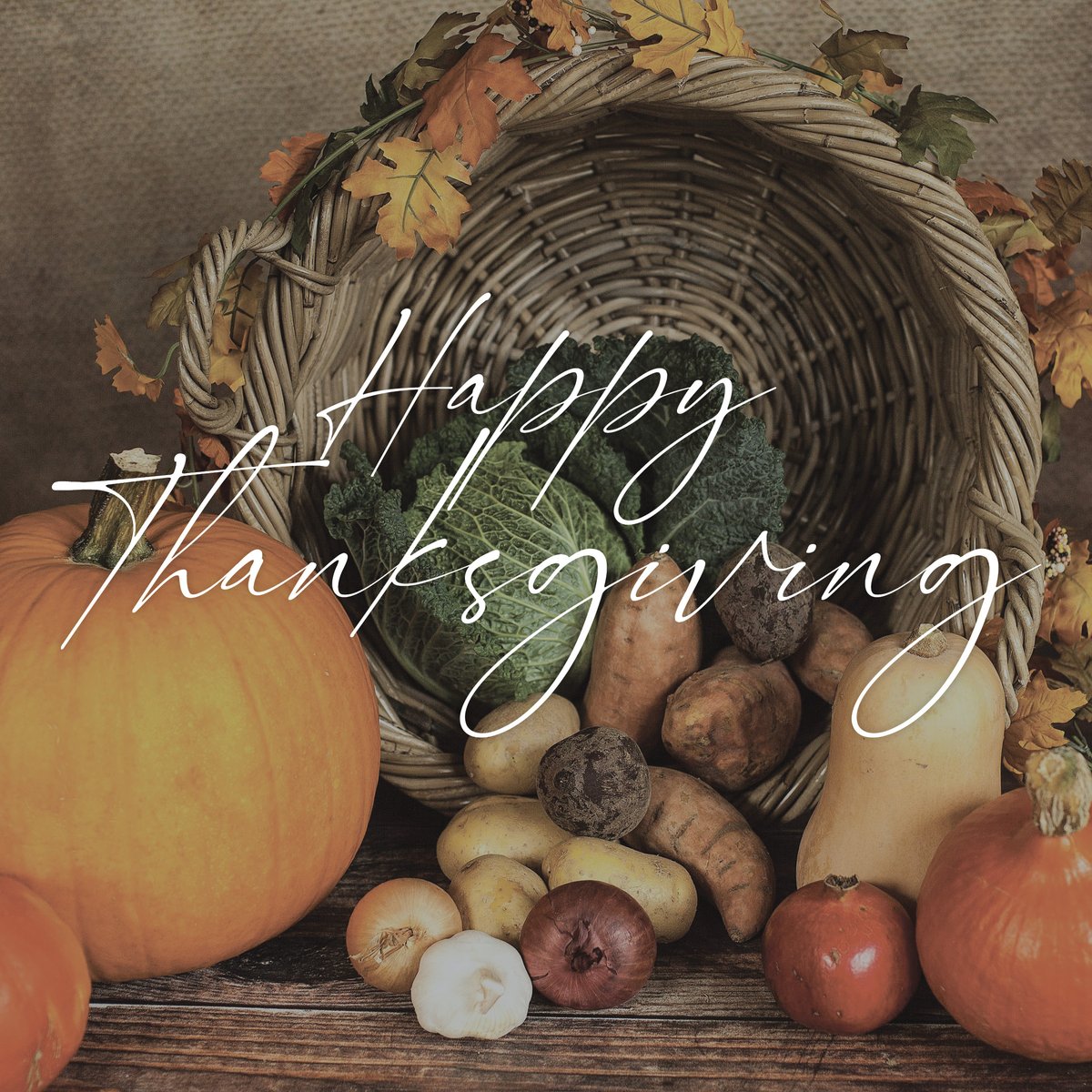 True Link tweet media