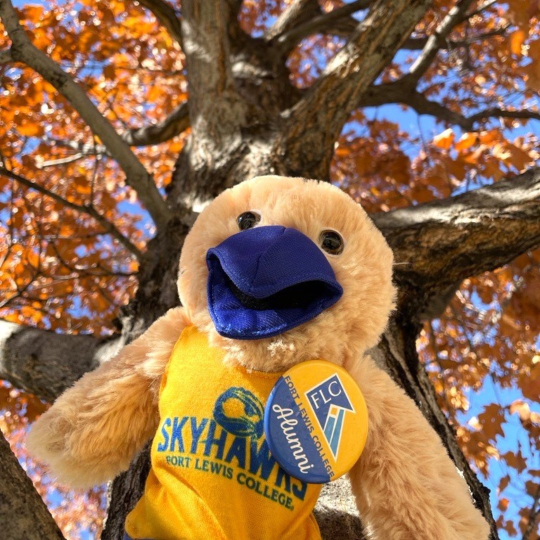 We are beyond grateful for our incredible alumni! Your contributions whether through mentorship, support, or simply staying connected makes a lasting impact. Thank you for helping us build upon the legacy of Fort Lewis College. 💙💛
 #FLCAlumni #FortLewisCollege #FLCForever