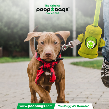 poopbags's tweet photo. Do you always carry a poop bag when you walk your dog, or do you think that’s overkill? https://t.co/WuD3doatHD