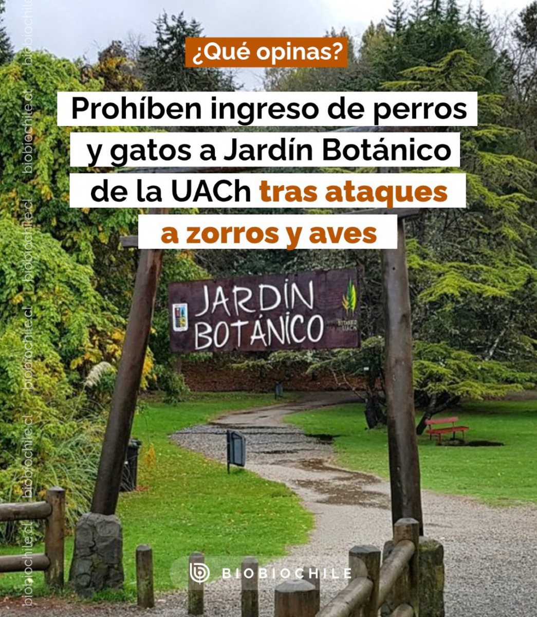 DefendamsChiloe's tweet photo. Que bueno está esto !!!

#EsHoraDeActuar

ayúdanos con
♥️Like
🤝Compartir
Gracias !!! https://t.co/fIMEHE9slR