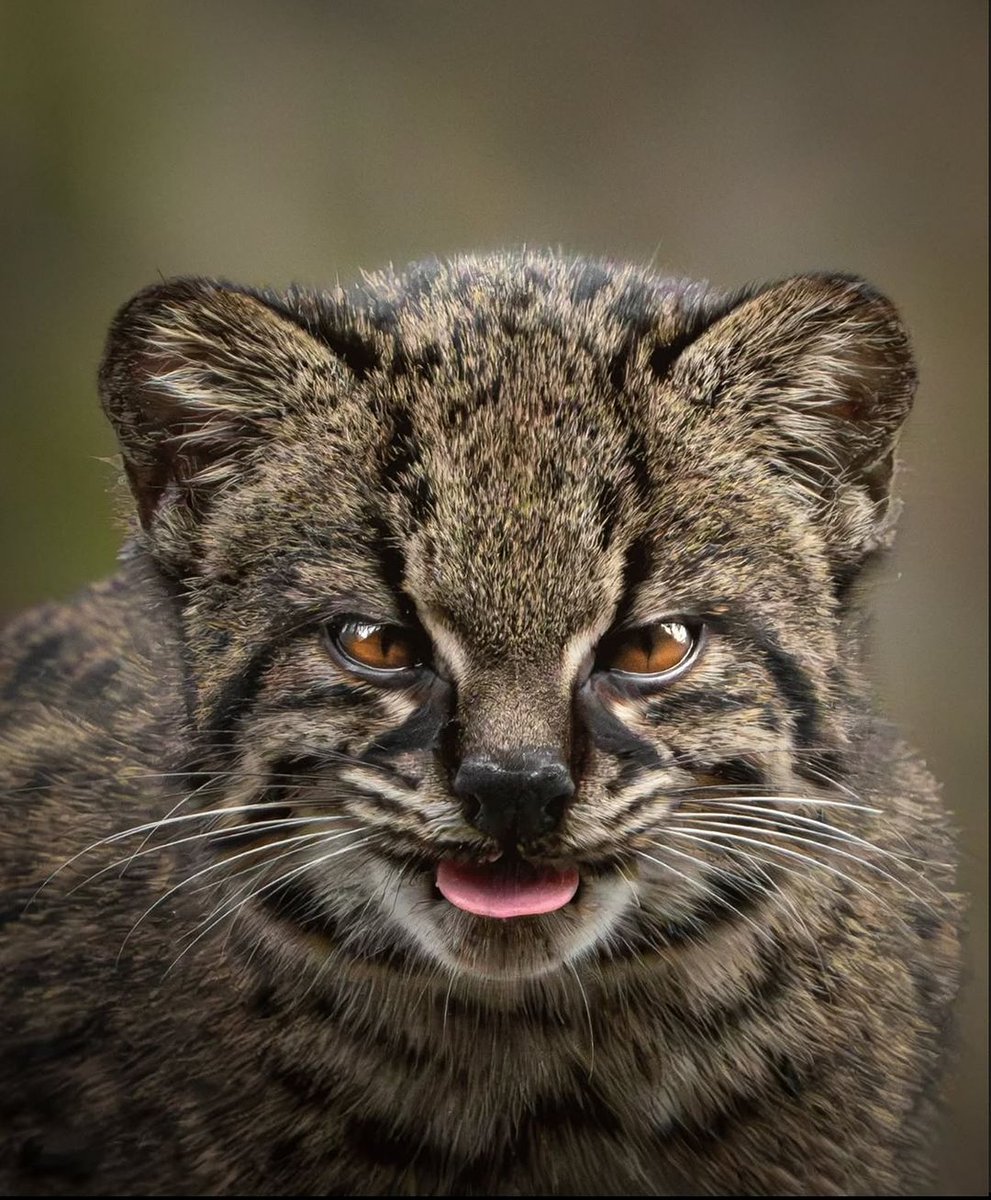 🌴 Vagrant 🌴 (@vagranttravels) on Twitter photo 