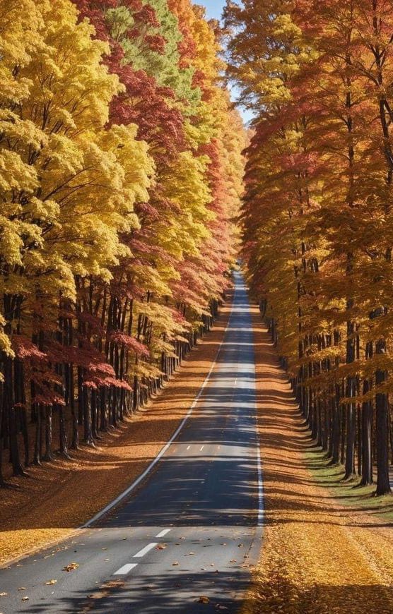 🔆 V 🔛 LOVE 🔆 tweet media