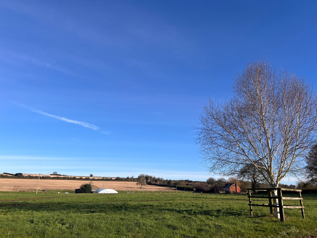 Butler & Co tweet media