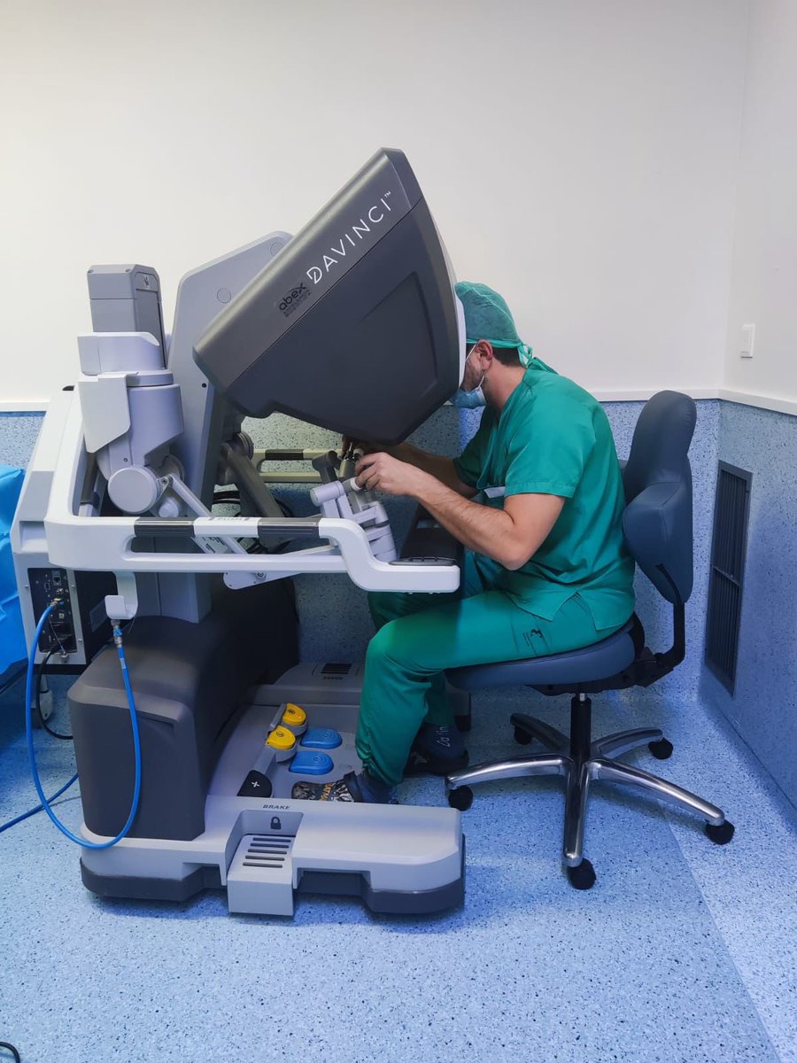 Paula Gómez Valles tweet media