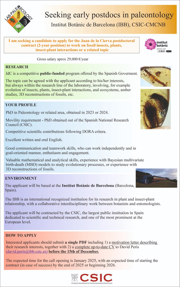 David Peris (@david_peris_) on Twitter photo 🚨Seeking for early postdocs at #LabPaleoecology from the <a href="/IBB_botanic/">Institut Botànic de Barcelona</a>
Please spread it among your interested contacts
Please DM if any doubt
#postdoc #paleontology #fossil #insects #plants #paleoecology #evolution #ecosystems
<a href="/DPE_CSIC/">Postgrado CSIC</a> <a href="/AmberiaResearch/">Amberia Research</a> 🚨Seeking for early postdocs at #LabPaleoecology from the <a href="/IBB_botanic/">Institut Botànic de Barcelona</a>
Please spread it among your interested contacts
Please DM if any doubt
#postdoc #paleontology #fossil #insects #plants #paleoecology #evolution #ecosystems
<a href="/DPE_CSIC/">Postgrado CSIC</a> <a href="/AmberiaResearch/">Amberia Research</a>