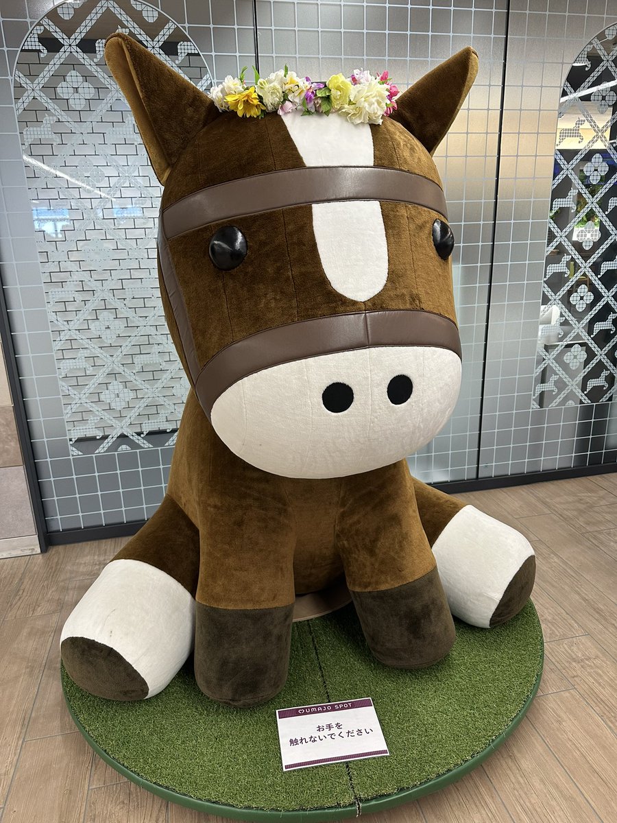 ReoQNm's tweet photo. 🦁プレゼント企画🎁

5000payx1名様🤤

⭐️応募方法⭐️

リポスト・フォロー

🦁引用＋1000pay🎁
スクショは🙏

プロフに #ちーむれおきゅん ➕300pay
れおきゅんヘッダー付けてる➕500pay

締め切り▶︎11/30⏰23時〆 https://t.co/6XSWQ7qbN2