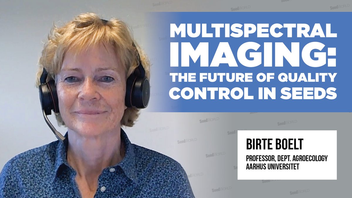 SeedWorldEU's tweet photo. 🌱 Revolutionizing Seed Quality!

@MBruins123 interviews Prof. Birte Boelt from @AarhusUni_int who shares how multispectral imaging boosts seed purity in real time with insights from Vikima Seed &amp; DLF.

https://t.co/qXhipys4t9

#SeedTech #AgInnovation https://t.co/jwp9I4IBZC