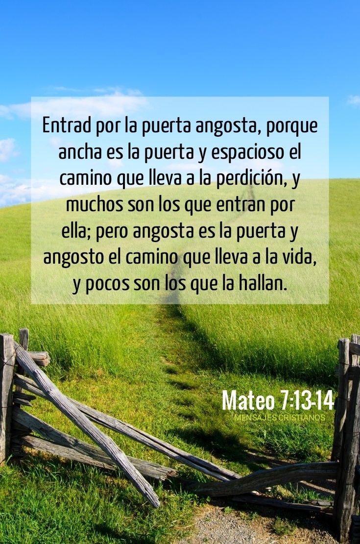 Ari_Arifu2's tweet image. Cuando dudo por dónde tirar, elijo el camino opuesto al que toma la mayoría. Al principio puede dar vértigo verte solo, pero sé que después nunca me arrepiento. Se trata de aprender a CONFIAR en uno mismo.